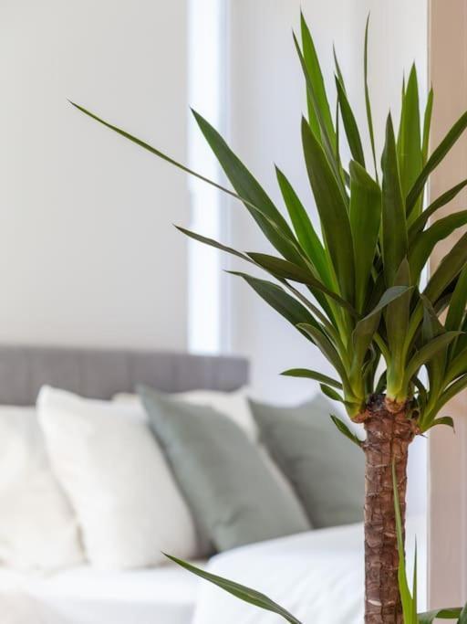 Stylish Apartment - Casa Leone - Center ترييستي المظهر الخارجي الصورة